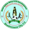 https://img.shhongy.com/img/football/team/60f0ae6ca99d8e6d201d0513bd0511f2.png